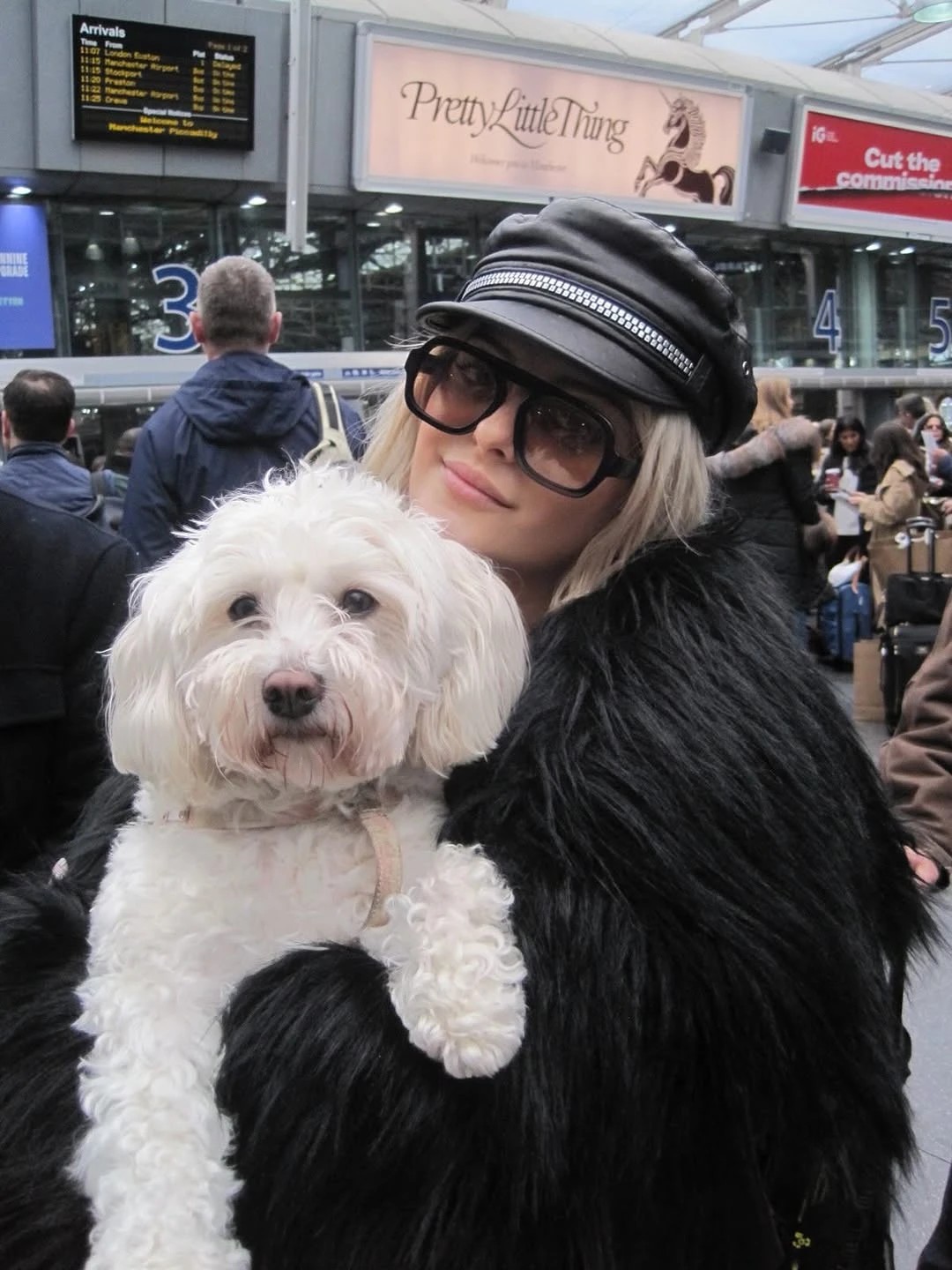 биби.jpg (244 KB)