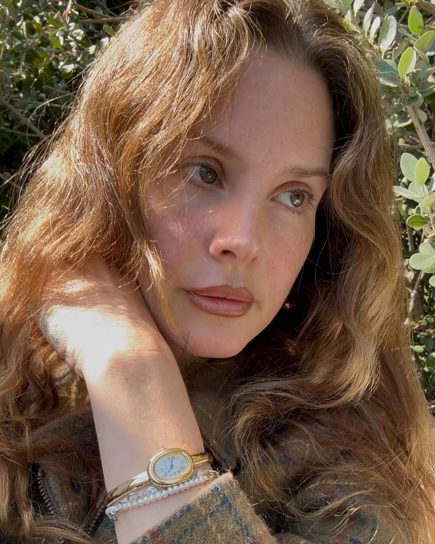 ланана.jpg (540 KB)